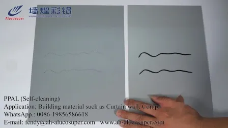 Building Raw Material Prepainted Steel Coil PPGI/PPGL Color Coated Galvanized Steel High Quality Coating Construction Projects